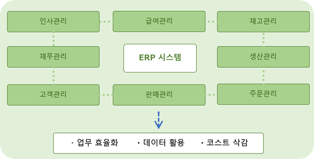 전사적 자원 관리 시스템(ERP)